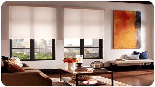 MOTORIZED-SHADES-AUTOMATED-WINDOW-TREATMENTS-CHAMPION-TECHNOLOGIES-CHAMP-TECH